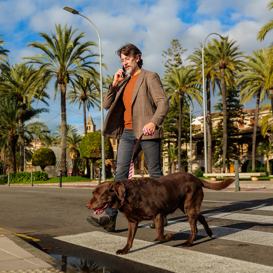 A person walks a dog across a crosswalk on a palm-lined street while talking on a mobile phone.